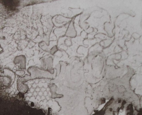 Ce détail d'un dessin de Victor Hugo représente des entrelacs de constellations dans le ciel, en écho à la plume de Satan retenue au bord du gouffre. Intitulé Victor Hugo. Plume et lavis d'encre brune.