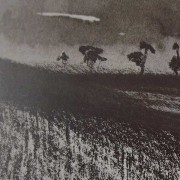 Ce détail d'un dessin de Victor Hugo représente un paysage au crépuscule du jour et de l'été : Quatre arbres se dressent sur la ligne d'horizon.