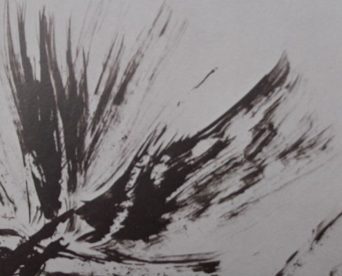 Ce détail d'un dessin de Victor Hugo représente un battement d'ailes dans l'air. Un ange ou un oiseau ?
