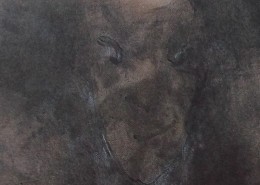 Ce détail d'un dessin de Victor Hugo représente un visage d'ombre (le diable) qui regarde en coin avec un regard torve, en bon théologien.