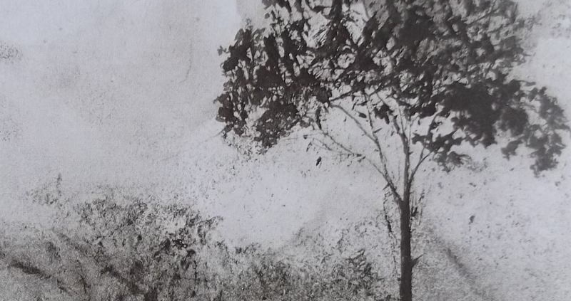 Ce détail d'un dessin de Victor Hugo représente les frondaisons d'une forêt et la silhouette d'un arbre qui se détache sur une nuit d'été lumineuse.
