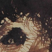 Ce détail d'un dessin de Victor Hugo représente l’œil, surmonté de cheveux broussailleux, d'un homme plongé dans la folie, par exemple Eugène, frère de Victor Hugo.