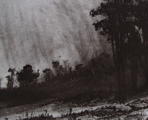 Ce détail d'un dessin de Victor Hugo représente un vallon où il a plu. L'air et les arbres frissonnent. L'ombre ouvre un gouffre obscure.