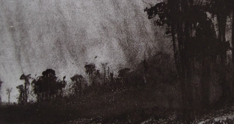 Ce détail d'un dessin de Victor Hugo représente un vallon où il a plu. L'air et les arbres frissonnent. L'ombre ouvre un gouffre obscure.