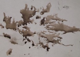 Ce détail d'un dessin de Victor Hugo, Rorschach avant la lettre, représente un visage éparpillé en deux dimensions. On voit, à l’œil, qu'il se demande ce qu'il fait là. Est-ce à Théophile Gautier ?