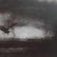 Ce détail d'un dessin de Victor Hugo représente un oiseau (un épervier ?) volant à tire d'aile dans la brume du soir, tandis que se couche le soleil. On aperçoit, à droite, l'ombre d'un clocher.