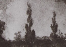 Ce détail d'un dessin de Victor Hugo représente un grand feu au milieu des arbres, au milieu desquels se déroule le "bleu sabbat de ces nocturnes fées".
