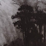 Ce détail d'un dessin de Victor Hugo représente des frondaisons sous un ciel contrasté entre douceur et tourments.