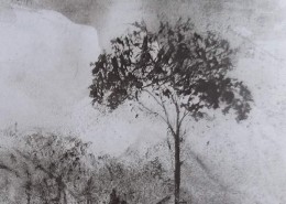 Ce détail d'un dessin de Victor Hugo représente un arbre, refuge des oiseaux.