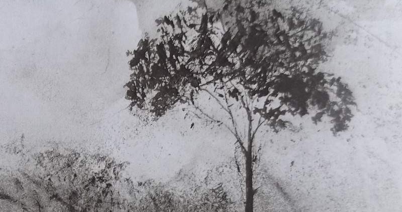Ce détail d'un dessin de Victor Hugo représente un arbre, refuge des oiseaux.