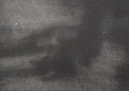 Ce détail d'un dessin de Victor Hugo représente l'ombre d'un aigle (ou d'une colombe ?) dans l'obscurité de l'univers.