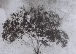 Ce détail d'un dessin de Victor Hugo représente le sommet d'un arbre, nichée des petits oiseaux.