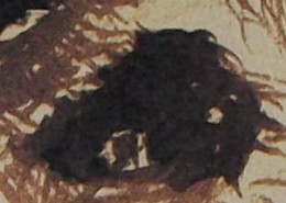 Ce détail d'un dessin de Victor Hugo représente un œil écarquillé, peut-être celui de l'"esprit mystérieux".