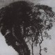 Ce détail d'un dessin de Victor Hugo représente un cœur formé par trois arbres enlacés.