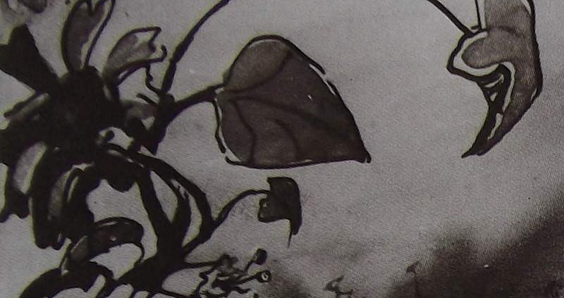 Ce détail d'un dessin de Victor Hugo représente une fleur, des feuilles, au bout de leurs tiges, telles une allégorie du printemps mettant "l'hiver en déroute".