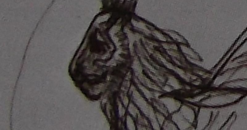 Ce détail d'un dessin de Victor Hugo représente la face, vue de profil (sic), d'un lion avec une couronne sur sa crinière.
