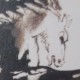 Ce détail d'un dessin de Victor Hugo représente un âne (ou un mulet ?) rétif (ou ignorant ?) penché sur un cours d'eau.
