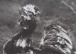 Ce détail d'un dessin de Victor Hugo représente un coq poussant son cri.